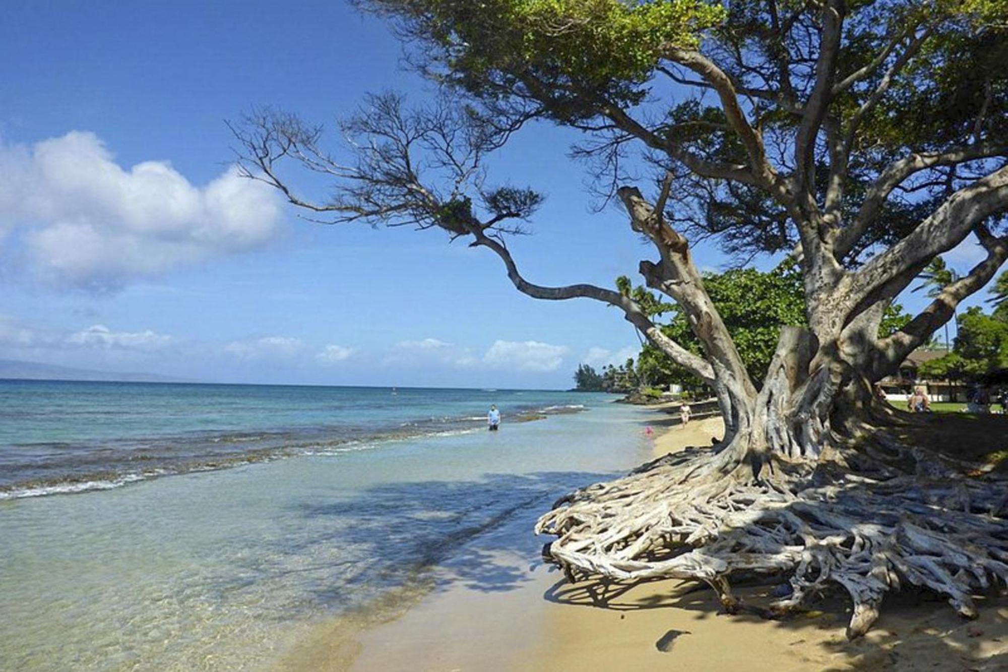 Polynesian Shores 118 Kahana المظهر الخارجي الصورة